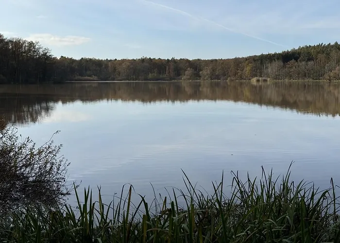 بيت للعطل Reuthsee- Nurdachhaus Mit Panoramafenstern, Grossem Garten & Hundefreundlich